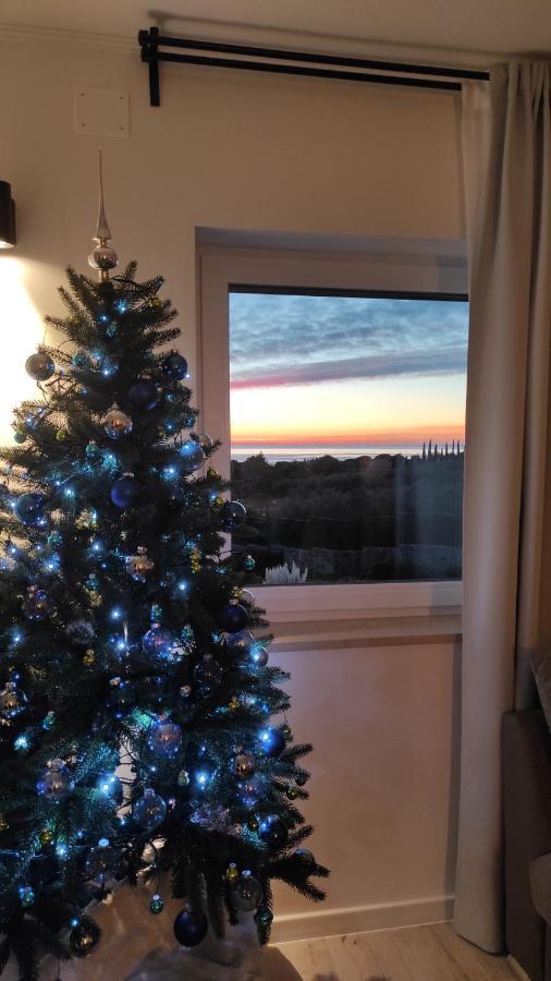 Apartment New Vivano V I D With Amazing View