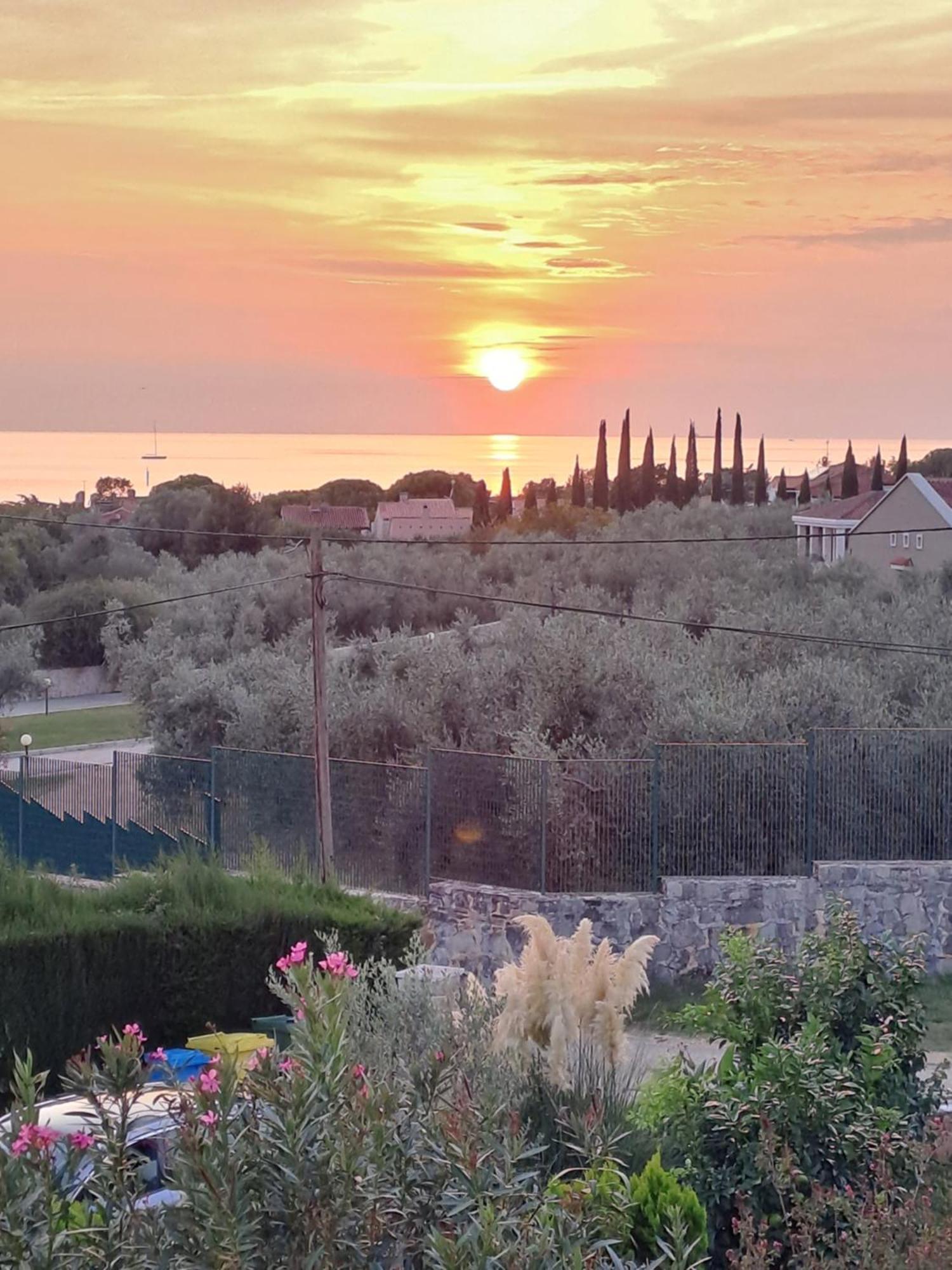 New Vivano V I D With Amazing View Apartma *